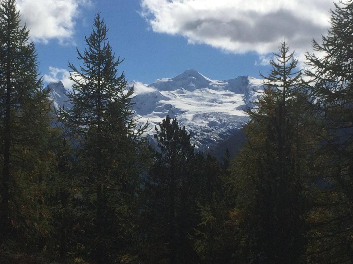 Ferienhaus Alea Saas-Grund Zewnętrze zdjęcie