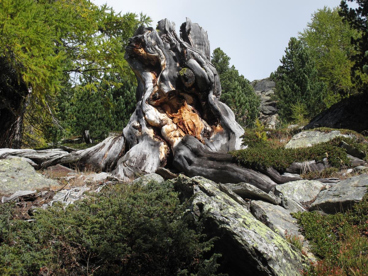 Ferienhaus Alea Saas-Grund Zewnętrze zdjęcie