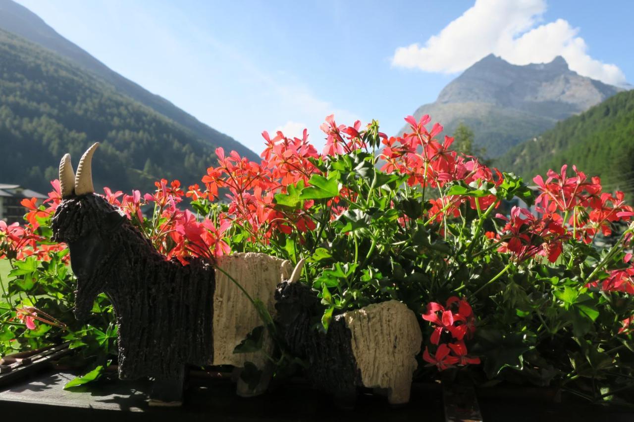 Ferienhaus Alea Saas-Grund Zewnętrze zdjęcie